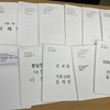 제20대 대선, 시각장애인 선거공보물 미흡