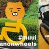 휠체어 탄 라이언, 우리도 볼 수 있을까?